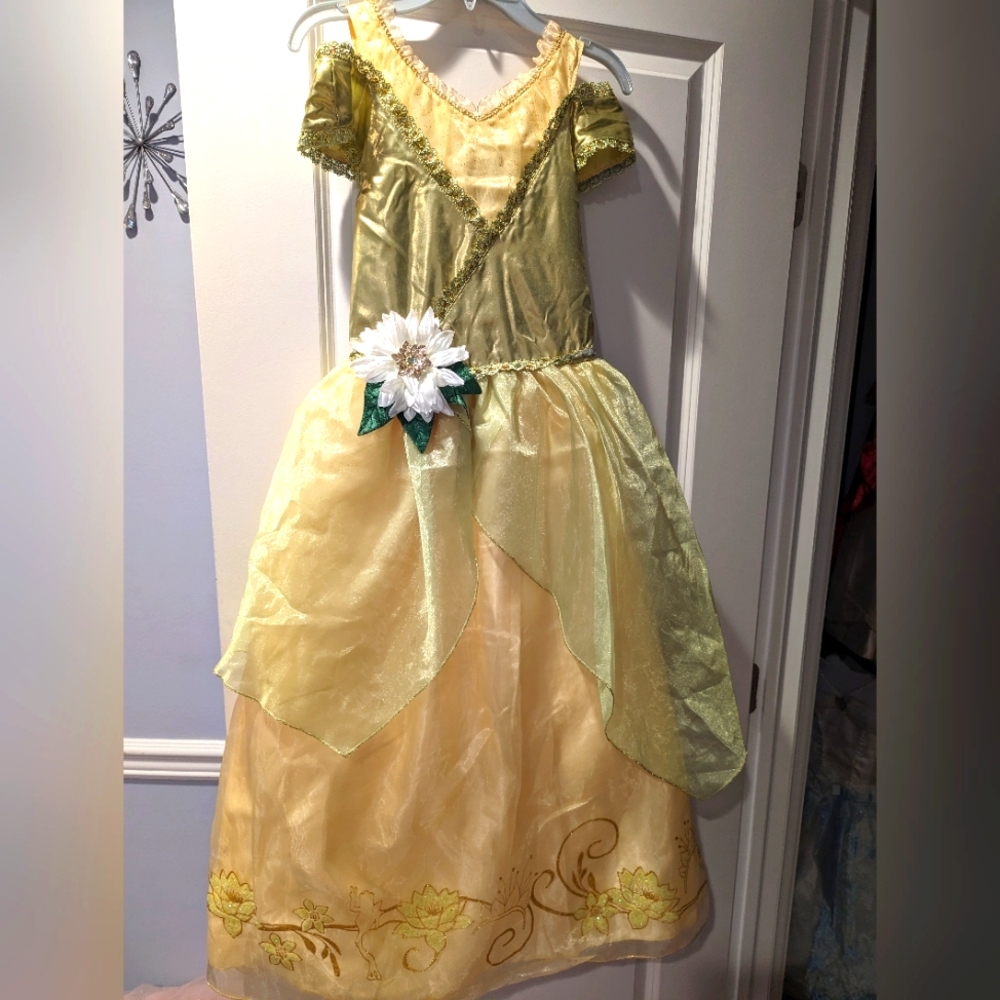 Tiana dress up costume /dress